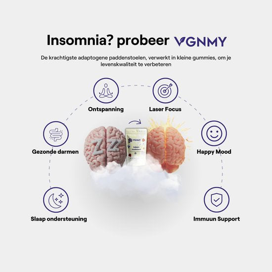 Kokoro Mushroom Gummies VGNMY - 60 stuks