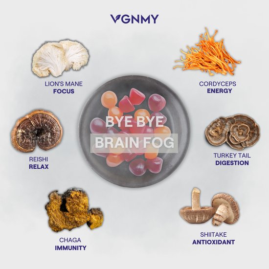 Kokoro Mushroom Gummies VGNMY - 60 stuks