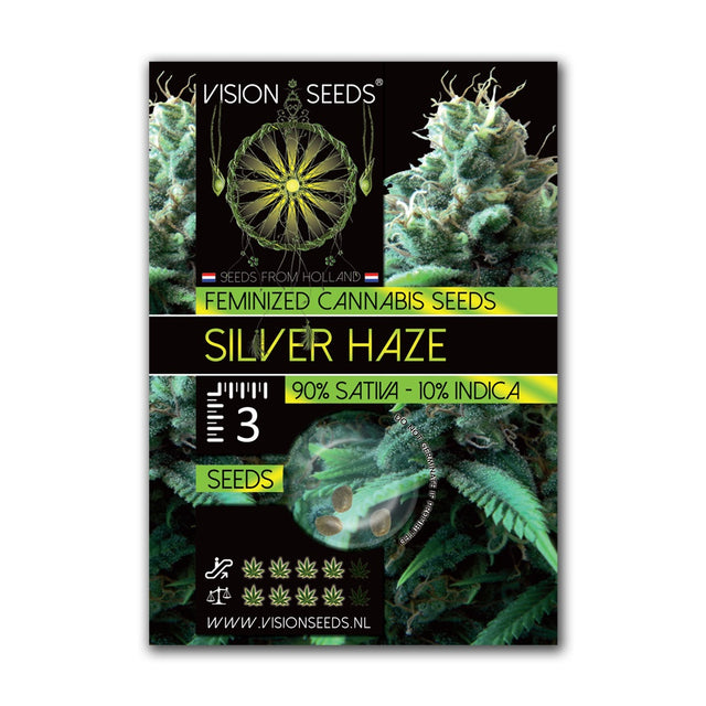 Silver Haze Fem | Vision Seeds