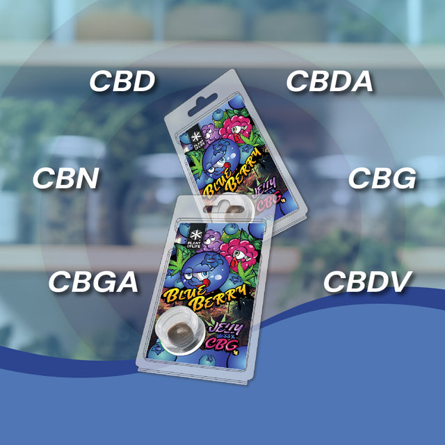 JELLY 27% CBG BLUEBERRY 1G