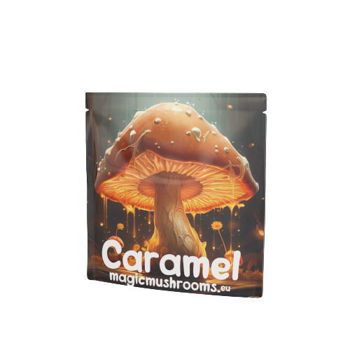 Caramel with Mushroom Extract ( Muscimol)