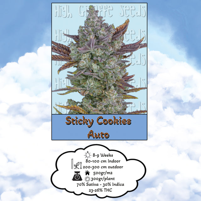 Sticky Cookies - AutoFlower