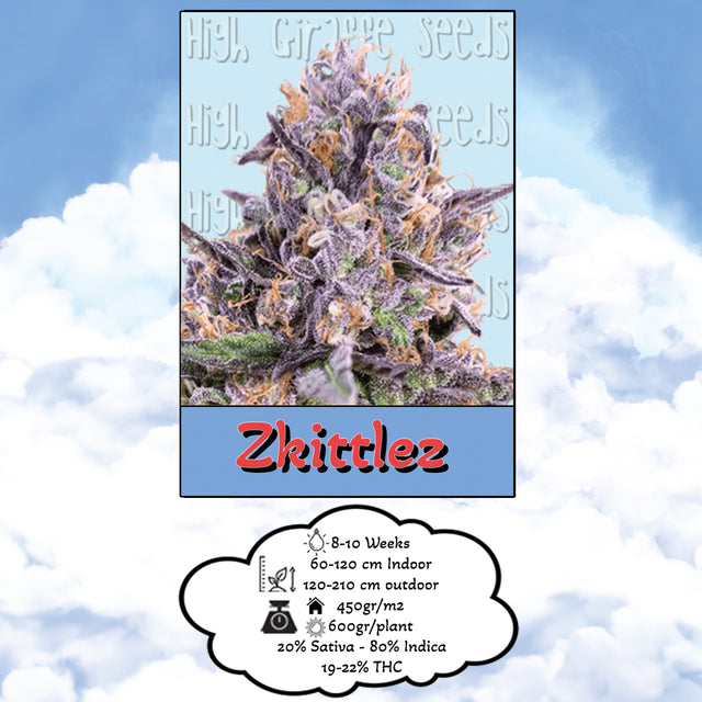 Zkittlez - Feminized