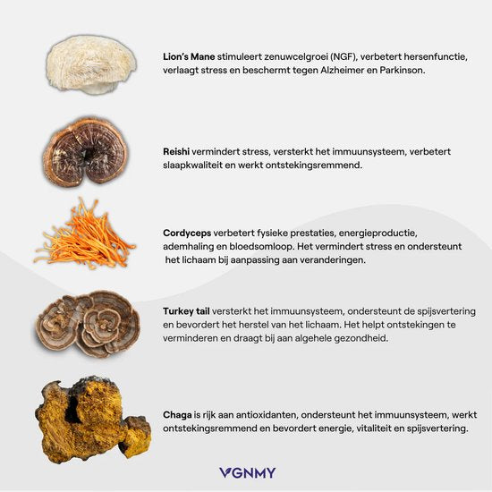 Kokoro Mushroom  Gummies VGNMY - 60 stuks