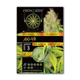 Vision Seeds AK - 49 AUTO