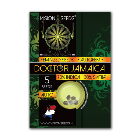 Vision Seeds Doctor Jamaica AUTO