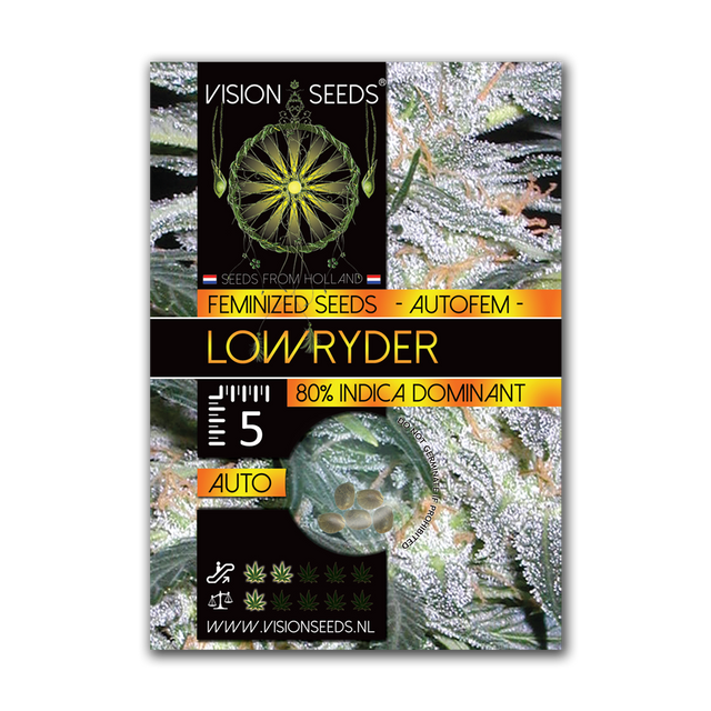 Lowryder AutoFem | Vision Seeds