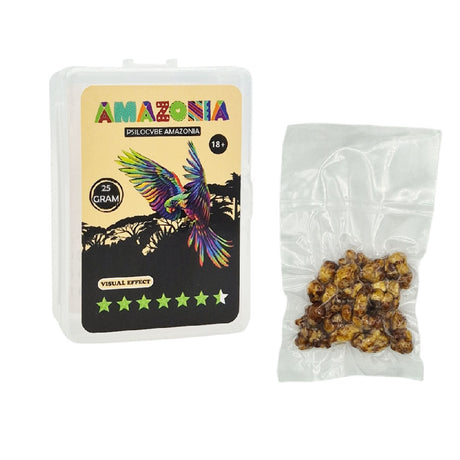 Psilocybe Amazonia Truffels 25 gram