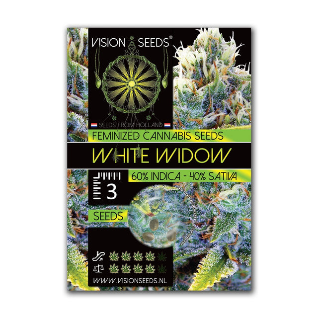 White Widow Fem | Vision Seeds