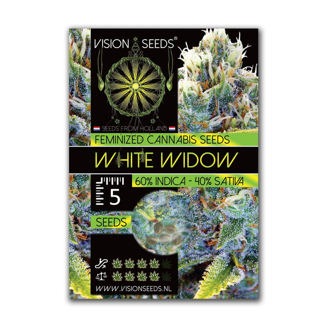 White Widow Fem | Vision Seeds