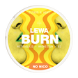 LEWA BURN CITRUS & MINT 20MG (10pcs)