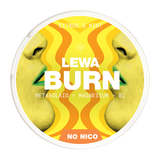 LEWA BURN CITRUS & MINT 20MG (10pcs)