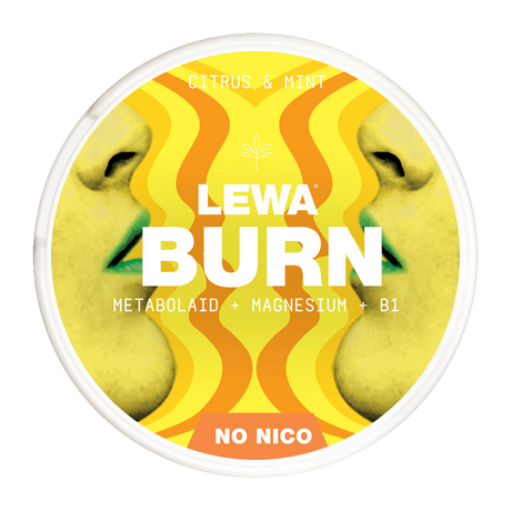 LEWA BURN CITRUS & MINT 20MG (10pcs)