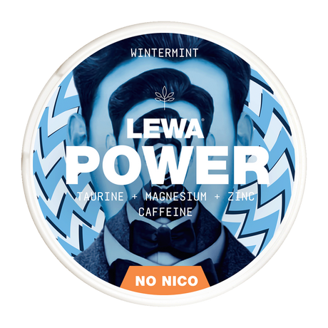 LEWA POWER WINTERMINT 50MG (10pcs)