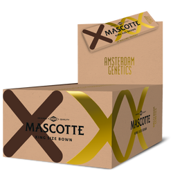 Mascotte Amsterdam Genetics Brown KS 50 pcs