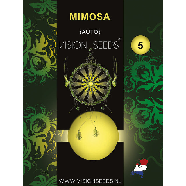 Vision Seeds Mimosa AUTO