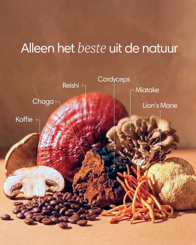 Clearly Mushroom 100% Coffee - DeCaf 171 g (30 servings)