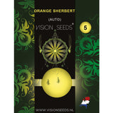 Orange Sherbert AutoFem | Vision Seeds