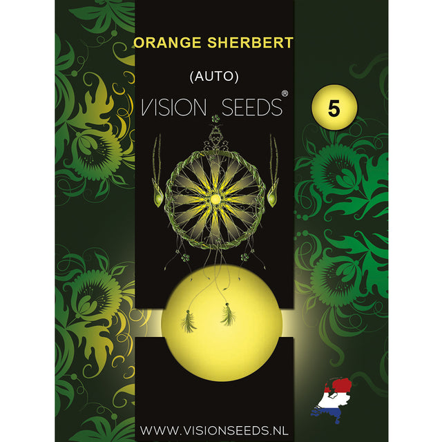 Orange Sherbert AutoFem | Vision Seeds