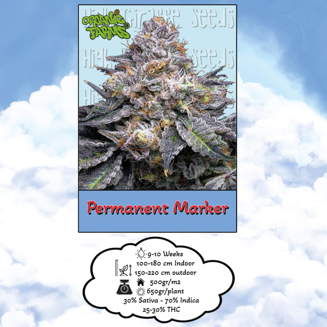 Permanent Marker Organic Farms - Feminized
