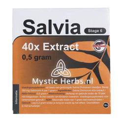 Salvia Mystic 40X Extract - 0,5 gram