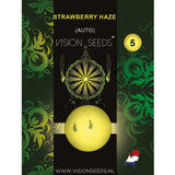 Vision Seeds Strawberry Haze AUTO