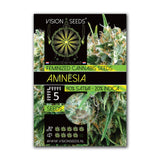 Amnesia Fem | Vision Seeds