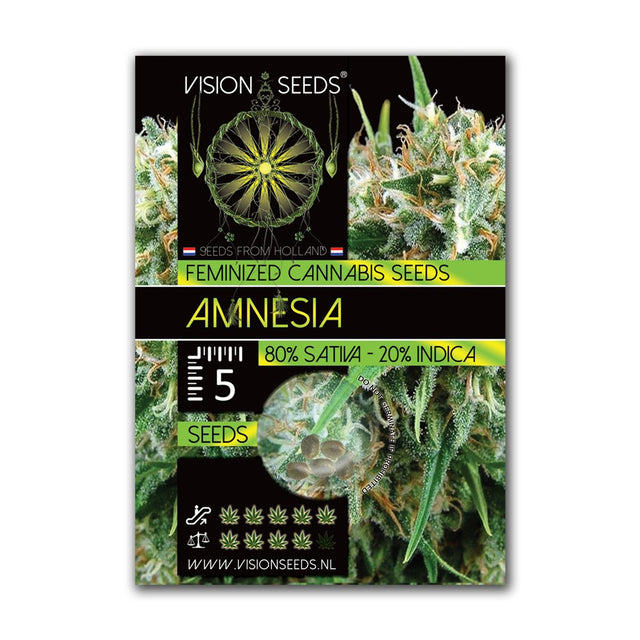 Amnesia Fem | Vision Seeds