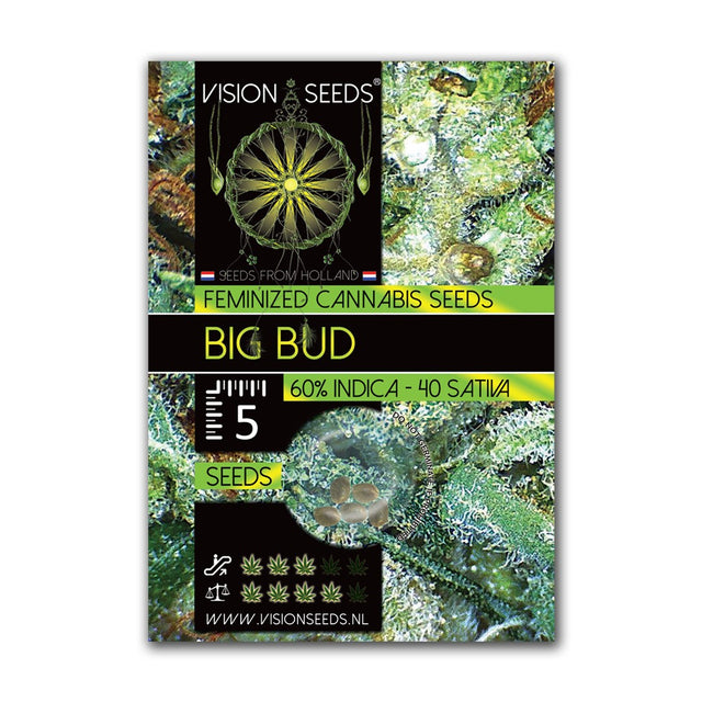 Big Bud Fem | Vision Seeds