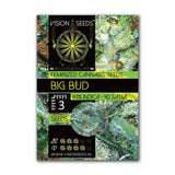 Big Bud Fem | Vision Seeds