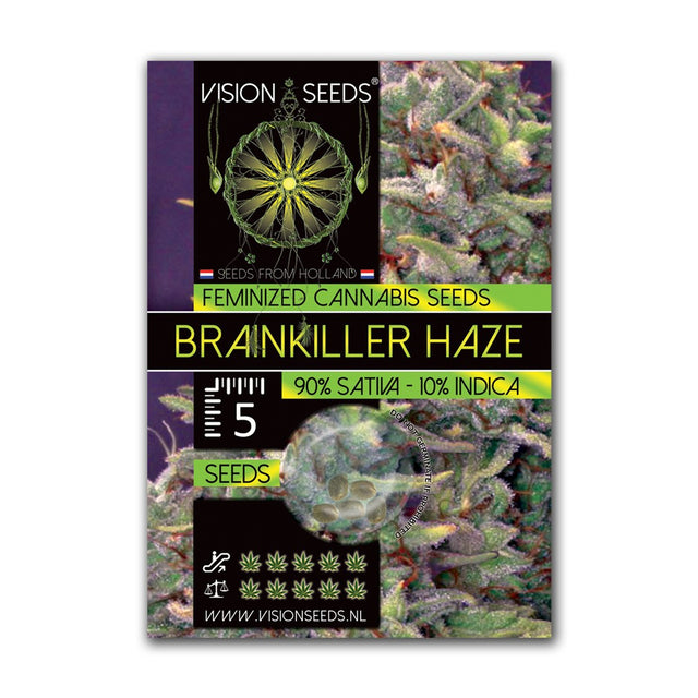 Brainkiller Haze Fem | Vision Seeds