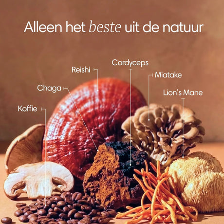 Clearly Mushroom Coffee 171g (Cafeïnevrij)