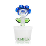 Bloom - Bong 6"