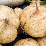 Clearly Maca Extract 500 mg (60 capsules)