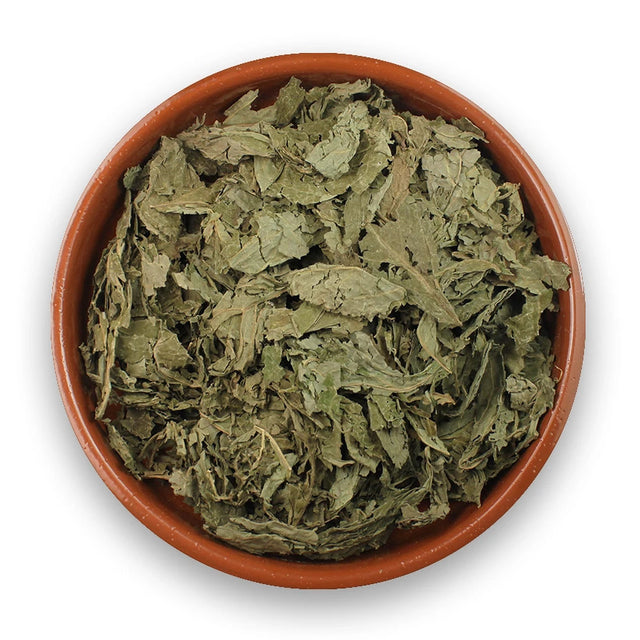 Salvia (Salvia Divinorum) Hele Bladeren 10g | Joy from Nature