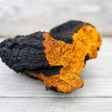 Clearly Chaga Extract 500 mg (60 capsules)