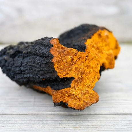 Clearly Chaga Extract 500 mg (60 capsules)