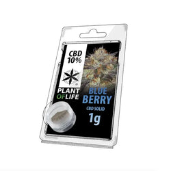 SOLID 10% CBD BLUEBERRY 1g