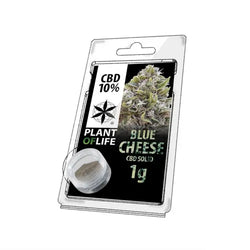 SOLID 10% CBD CHEESE BLUE 1g