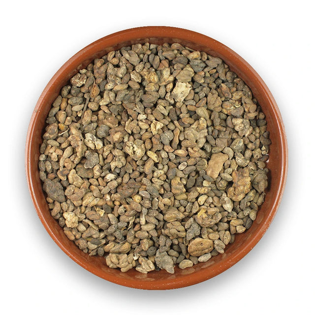 Voacanga (Voacanga Africana) Whole Seeds 25g