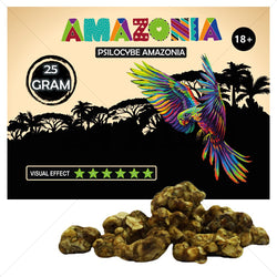 Psilocybe Amazonia Truffels 25 gram